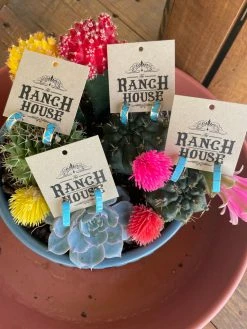 Silver Lining Turquoise Earrings