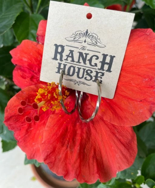 Silver Twisted Hoops -shopranchhouse shop E9D17E4B 9BBF 448F 9B93 BEB9566E0336 1 105 c