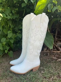 Not So Basic Cowgirl Boots -shopranchhouse shop IMG 1113