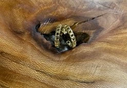 Mia Gold Hoop Earring-Nikki Smith -shopranchhouse shop IMG 3139